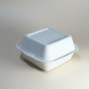 Corrugated Mailer Box (Copy)