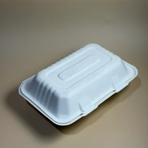 Bio Hinged Burger Box 6x9